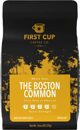 THE BOSTON COMMON