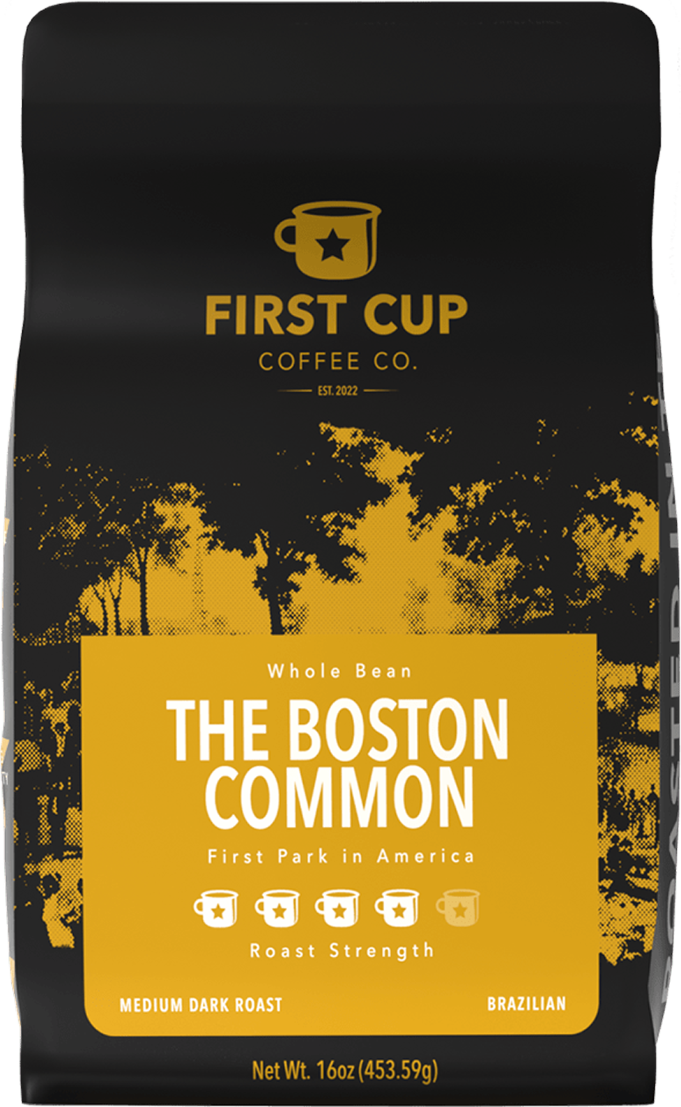 THE BOSTON COMMON